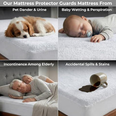 MollisHomes Mattress Protector Single Size, 72x36 Inches, Grey