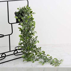 Kuber Industries 3 Pcs Set Plastic Mini Artificial Plants with Pot | Table Top & TV Unit Decorative Items for Living Room | Faux Plants for Home Decor & Office Desk | Man Shape - Black
