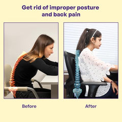 Eder Care Back Support for Chair, Car Seat Back Support, Orthopedic Lumbar Support Back Rest for Back Pain Relief - Back Pillow for Sitting