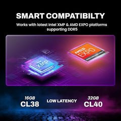 EVM Elite 32GB DDR5 5600MHz | Gaming Desktop RAM – Intel XMP & AMD EXPO | Aluminum Heat Sink | CL18 1.35V Low Voltage, 288-Pin Long-DIMM, 10-Year Warranty (EE32G56DT)