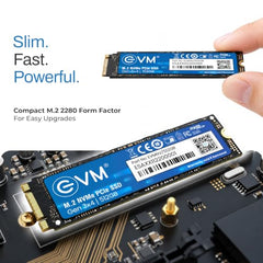 EVM Internal SSD Interface PCle Gen 3x4 Fast Performance, Ultra Low Power Consumption NVME PCIe SSD (EVMNV/256GB, Black, 256GB)
