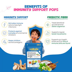 Wellopia Immune Support Pops | Orange & Mixed Berry | Ages 2+ | 15 Pops
