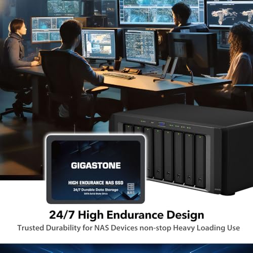 Gigastone Enterprise 2TB NAS SSD (2-Pack) 24/7 High Endurance Business Server Homelab Network Attached Storage Cache RAID 2.5" SATA III Internal Solid State Drive 3D NAND SLC Cache Memory Expansion