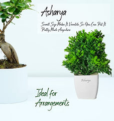 Asharya® Artificial Flower Plants for Home Décor – Set of 4 Mini Potted Plants (7 Inch) in White Pots | Pink, Yellow, Red & Blue Faux Flowers for Living Room, Office, Indoor Outdoor Decoration