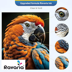 Ravaria Refill Ink for HP GT51XL/53XL GT 52 for HP Ink Tank 115,310,315,319,410,415,416,419,455,500,515,530,589,615,750,790,670,GT5810,GT5811,GT5820(GT51XL + GT52CMY(4 Color Set),Multi-Color Pack)