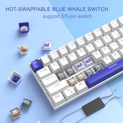 MageGee Portable 60% Mechanical Gaming Keyboard, MK-Box LED Backlit Compact 68 Keys Mini Wired Office Keyboard with Blue Switch for Windows Laptop PC Mac - Blue/White