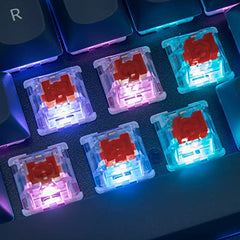 Keychron V1 Wired Mechanical Keyboard, 75% Layout, Frosted Black QMK/VIA Programmable, Hot-swappable K Pro Red Switch, Mac Windows Linux Compatible, Translucent, USB-C
