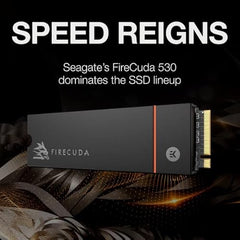 Seagate Game Drive PS5 NVMe SSD for PS5 2TB Internal Solid State Drive - PCIe Gen4 NVMe 1.4, Officially Licensed, Up to 7300MB/s with Heatsink (ZP2000GP3A1001)
