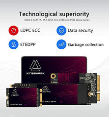 Kingshark gamer SSD 2.5 SATA III 64GB High Performance Internal Solid State Drive for Desktop Laptop 5 Unit Pack [64GB(5 Packs),2.5-SATA3]