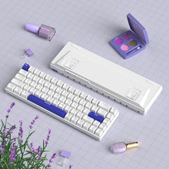 MageGee Portable 60% Mechanical Gaming Keyboard, MK-Box LED Backlit Compact 68 Keys Mini Wired Office Keyboard with Blue Switch for Windows Laptop PC Mac - Blue/White