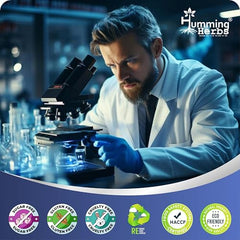 Humming Herbs Blueberry Extract 580mg with Lutein, Bilberry, CoQ10, Vitamin A, C, E, Zinc & Magnesium | 9-in-1 Daily Nutrition Blend | 120 Veg Capsules | Non-GMO & Gluten-Free