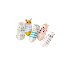 MOMISY 5 Pairs Baby kids Girl Boys Toddlers InfantmCotton Stretch Baby Socks (IN, Age, 12 Months, 24 Months, Cat Stripe)