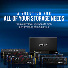 PNY CS900 500GB 2.5” SATA III Internal Solid State Drive (SSD) - (SSD7CS900-500-RB)