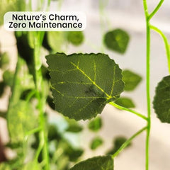 Go Hooked Artificial Hanging Creeper for Home Décor (Pack of 8, 6 Ft) | Money Plant Leaf Garland with 30 Leaves Each | Plastic Decorative Creeper for Balcony, Walls, Garden Decoration