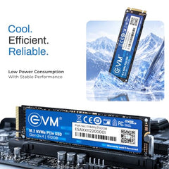 EVM Internal SSD Interface PCle Gen 3x4 Fast Performance, Ultra Low Power Consumption NVME PCIe SSD (EVMNV/256GB, Black, 256GB)