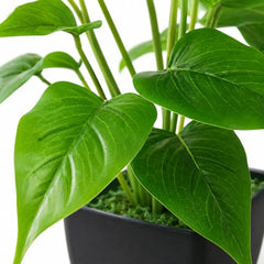 GARDEN GYANI Artificial Areca Palm Plant with Black Pot – 145 cm Tall Faux Tropical Decorative Plant with 35 Leaves for Home, Office & Living Room Décor