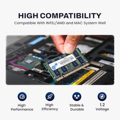 EVM 2GB DDR2 Desktop RAM Memory | 800MHz | PC2-6400 | Long-DIMM | 240-Pin | CL5 | 1.8V Low Voltage | Single Channel | Intel & AMD Compatible | Stable Performance | 10 Year Warranty (EVMT2G8000U86P)