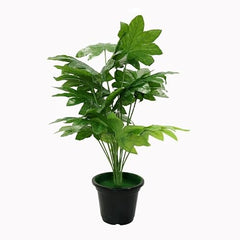 AAVANA GREENS Plastic 40 Inch Artificial Flower Plant for Indoor and Outdoor, Home, Shop, Office, Restaurant Decoration Dark Green (Pack of 1) (1, Plant 8 - with Pot)