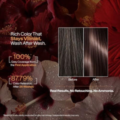 Biotique Herbcolor Conditioning Hair Colour l Ammonia Free Hair Color l 9 Organic Herbal Extracts l Natural and Healthy Shine l 50g + 110ml| Natural Black 1N (Pack of 1)