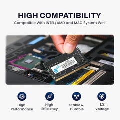 EVM 8GB DDR4 Desktop RAM 3200MHz | Long-DIMM – 1.2V Low Voltage |288-PIN Pin, Intel & AMD Compatible | High-Speed PC Memory Upgrade | 10 Year Warranty (EVMT8G3200U88P)