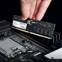 ADATA Premier 16GB DDR5 5600MHz Desktop RAM, Dual-Channel Module, Supports Intel & AMD Latest CPU, Intel XMP & AMD Expo, Built in PMIC, On Die ECC, Low Voltage, More Bandwidth - AD5U560016G-S