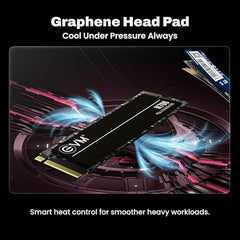 EVM Internal SSD Interface PCle Gen 3x4 Fast Performance, Ultra Low Power Consumption NVME PCIe SSD (EVMNV/256GB, Black, 256GB)