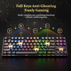 Redragon Kumara K552 Rainbow LED Backlit TKL Ten Key-Less Mechanical Wired Gaming Keyboard Without Numlock Keys (Black)