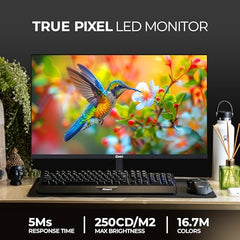 Foxin 24 Inch FHD Flat LED Monitor 1920x1080 Pixel Elite Series | Flat Panel, HDMI & VGA Port, 100Hz Refresh Rate, Frameless, Slim Bezel, Wall Mountable, 16.7 M Colors | 3 Years Warranty | White