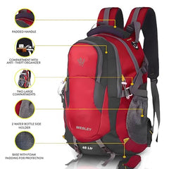 Wesley Spartan Unisex Travel Hiking Laptop Bag fits Upto 17.3 inch with Raincover and Internal Organiser Backpack Rucksack College Backpack