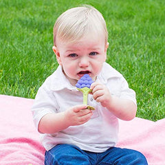 Syga Baby Soft Silicone Fruit Teether (Multicolor, Set of 3)