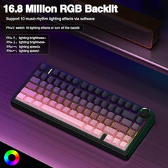 AULA F75 Pro Wireless Mechanical Keyboard,75% Hot Swappable Custom Keyboard,RGB Backlit,Pre-lubed Linear Switches,Side Printed PBT Keycaps Mechanical Gaming Keyboards,Gradient Purple
