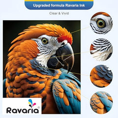 Ravaria BTD100BK Compatible Ink for Brother Printer DCP-T236 DCP-T230 DCP-T436W DCP-T430W DCP-T535DW DCP-T530DW DCP-T730DW DCP-T830DW MFC-T930DW (BTD100BK Black Ink 2 Pcs)