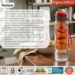 SignoraWare Infuser Borosilicate Glass Water Bottle, Detox(750ml, Yellow)
