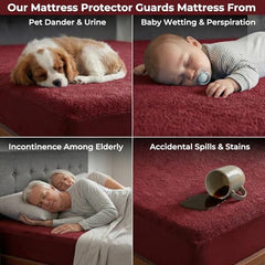 MollisHomes Mattress Protector Single Size, 72x36 Inches, Grey