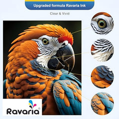 Ravaria Refill Ink for HP GT51XL/53XL GT 52 for HP Ink Tank 115,310,315,319,410,415,416,419,455,500,515,530,589,615,750,790,670,GT5810,GT5811,GT5820(GT51XL + GT52CMY(4 Color Set),Multi-Color Pack)