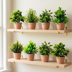 amazon basics Artificial Potted Plants, Artificial Plastic Eucalyptus Plants Small Indoor Potted Houseplants, Small Faux Plants for Home Decor Bathroom Office Farmhouse (Set of 8)