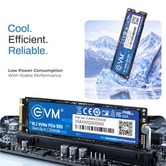 EVM Internal SSD Interface PCle Gen 3x4 Fast Performance, Ultra Low Power Consumption NVME PCIe SSD (EVMNV/256GB, Black, 256GB)