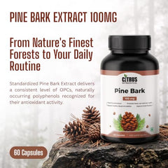 CITRUS NUTRACEUTICAL Pine Bark Extract 100mg Capsules