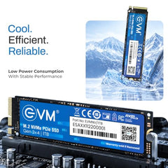 EVM Internal SSD Interface PCle Gen 3x4 Fast Performance, Ultra Low Power Consumption NVME PCIe SSD (EVMNV/256GB, Black, 256GB)