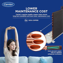 Carrier 1.5 Ton 5 Star AI Flexicool Inverter Split AC (Copper, Convertible 6-in-1 Cooling,Dual Filtration with HD & PM 2.5 Filter, Auto Cleanser, ESTER Exi, CAI18ES5R34F0,White)