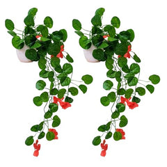 fancymart Artificial Flower Plant Home Décor with Small Size Pot | Pack of 2 | Plant Hanging for Home Decor | Office Decor (DESIGN-01)