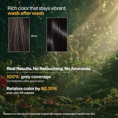 Biotique Herbcolor Conditioning Hair Colour l Ammonia Free Hair Color l 9 Organic Herbal Extracts l Natural and Healthy Shine l 50g + 110ml| Natural Black 1N (Pack of 1)