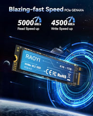 RAOYI 1TB NVMe Internal Solid State Drive M.2 2280 PCIe Gen4x4 SSD, Up to 5000MB/s, Configure SLC Cache, Storage and Memory Expansion for PS5 Laptop Desktop