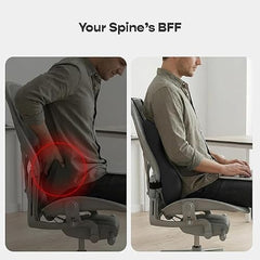 Eder Care Back Support for Chair, Car Seat Back Support, Orthopedic Lumbar Support Back Rest for Back Pain Relief - Back Pillow for Sitting