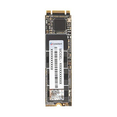 Consistent SSD M2 256GB (6Gb/S)