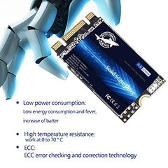 Dogfish M.2 2242 2TB SSD: High Performance Internal Solid State Drive for Desktop & Laptop - SATA III 6Gb/s