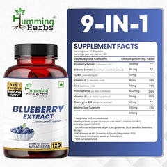 Humming Herbs Blueberry Extract 580mg with Lutein, Bilberry, CoQ10, Vitamin A, C, E, Zinc & Magnesium | 9-in-1 Daily Nutrition Blend | 120 Veg Capsules | Non-GMO & Gluten-Free