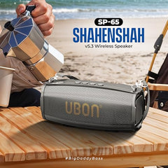 UBON Shahenshah SP-65, 20 watt Portable Bluetooth Speaker, 10 Hours Long Playtime, RGB Lights, Multiple Connectivity Wireless Party Speaker (Black)