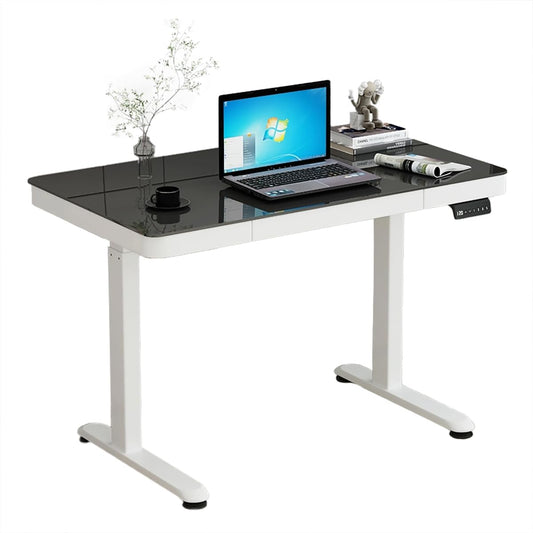 SYGA Medis Electric Lift Table Standing Desk Desk Computer Desktop Table Liftable Table Frame Table Leg Computer Desk(120 X 60 CM Black)