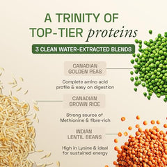 Ace Blend Unflavoured Plant Protein Triple Complex 500g | Brown Rice, Pea & Lentil | 26G / Serving | Complete Amino Acids | Gut Friendly | Soluble Food Fortifier for Aata, Dosas - For Men & Women